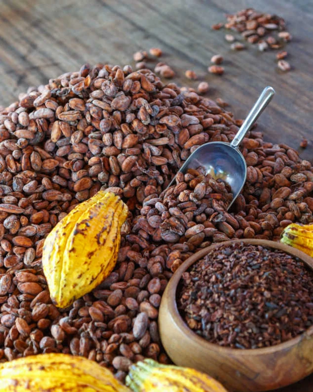 Cacao beans